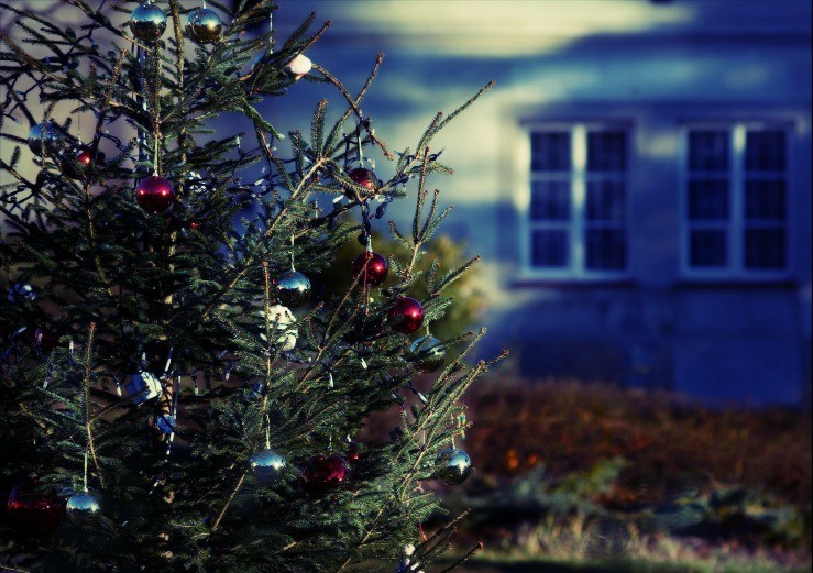 The Real Reason You're Not Getting a Christmas Card from me This year