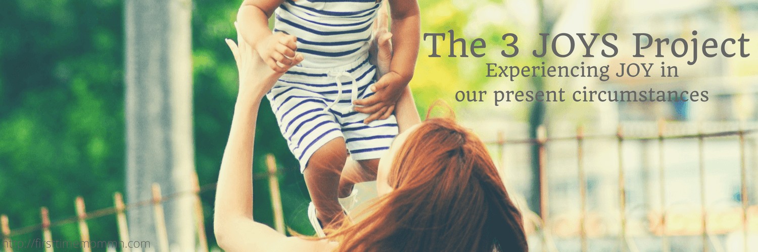 The 3 JOYS Project Title