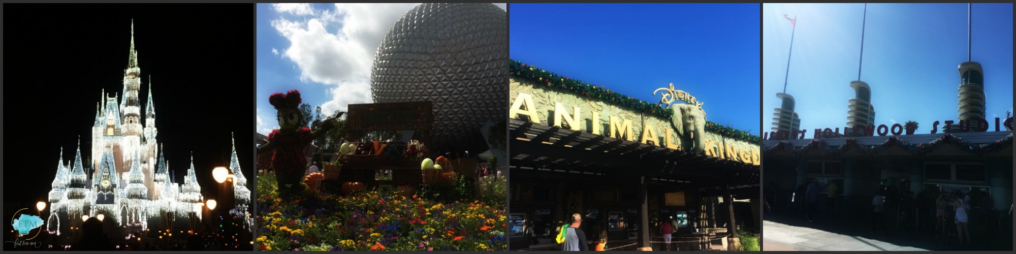 Disney Parks
