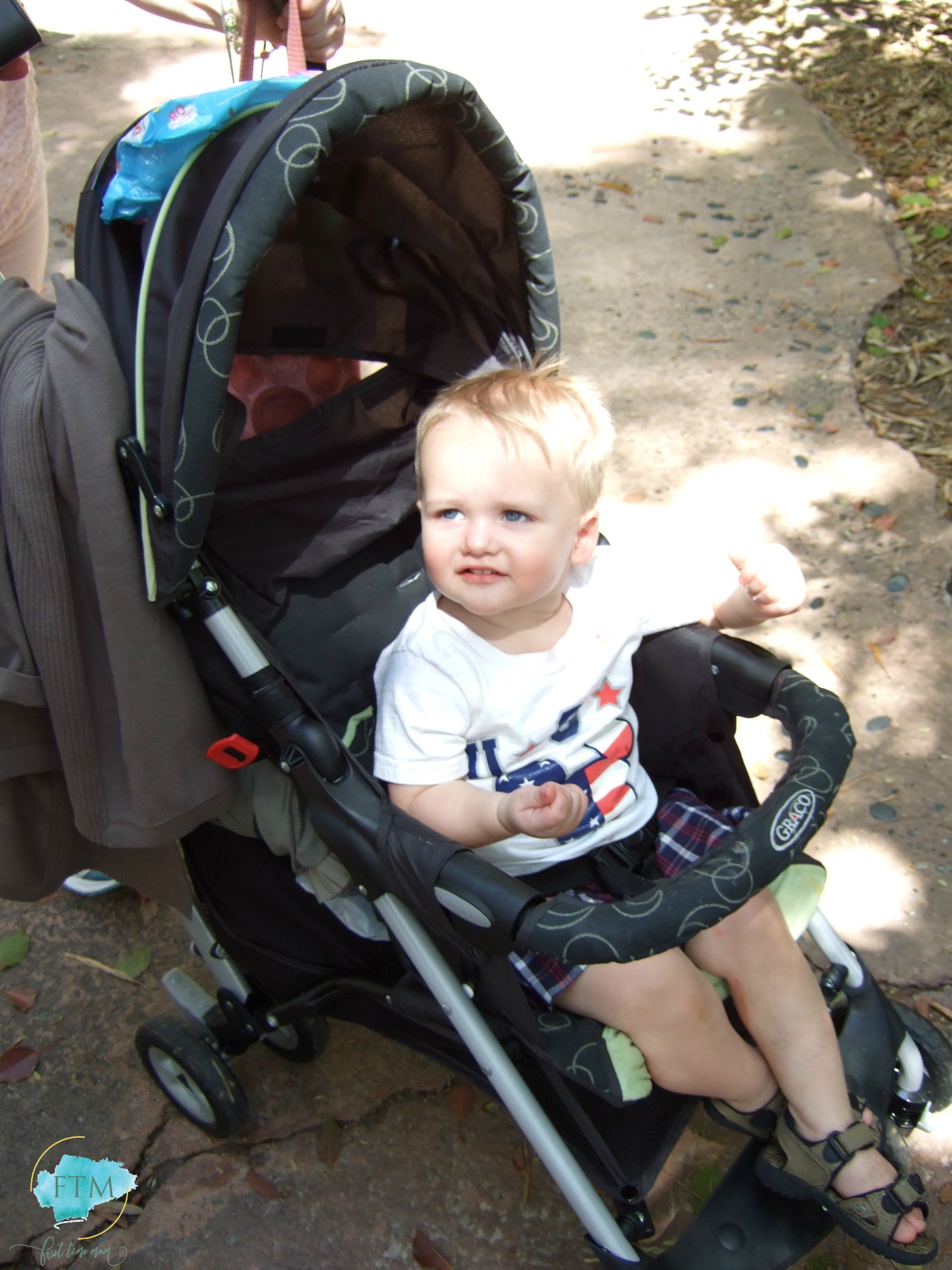 Going to Disney World with a Toddler