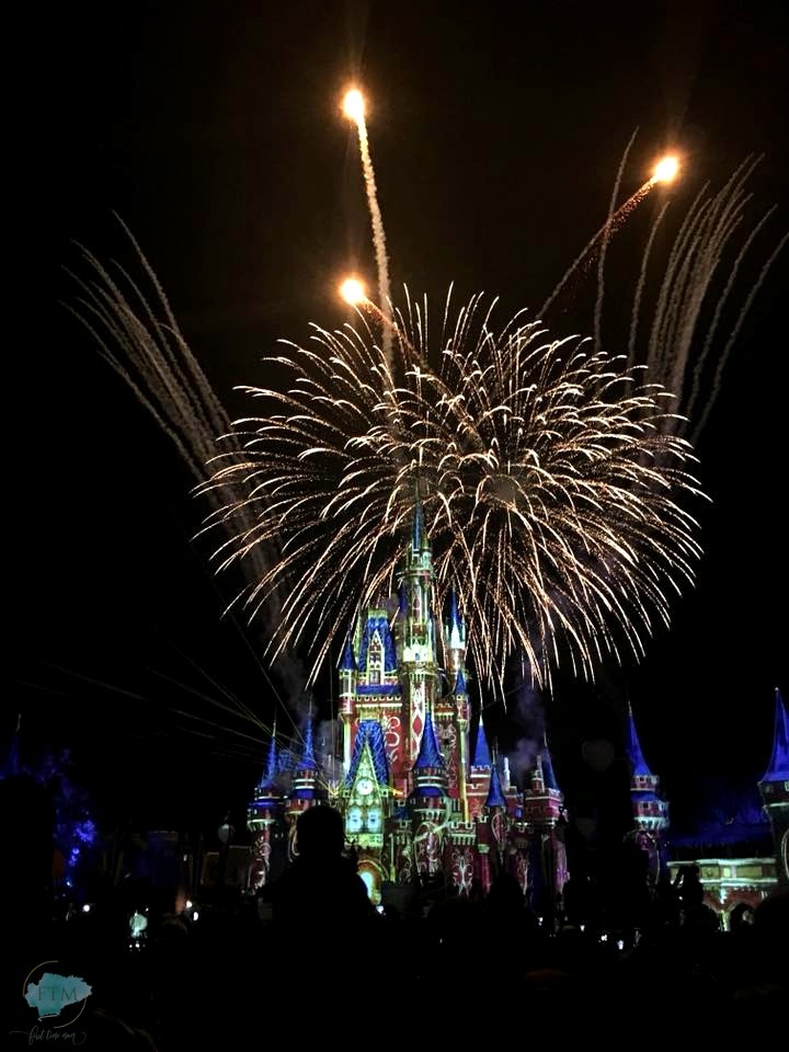 Walt Disney World Fireworks
