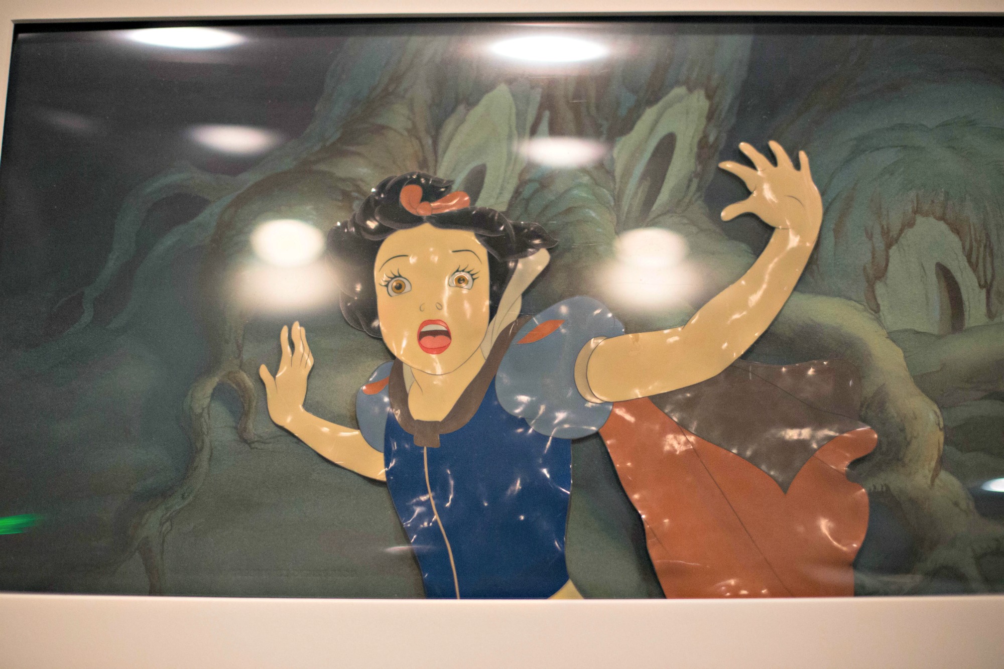 Walt Disney Family Museum, Transition into Features