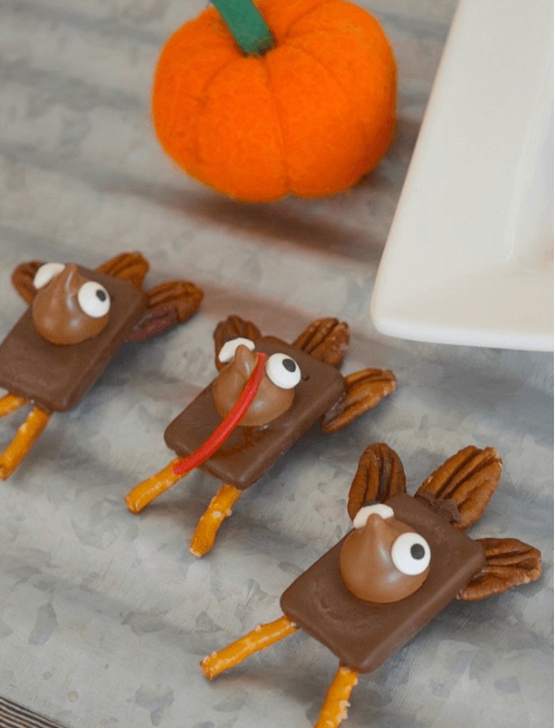 Thanksgiving Turkey turtles